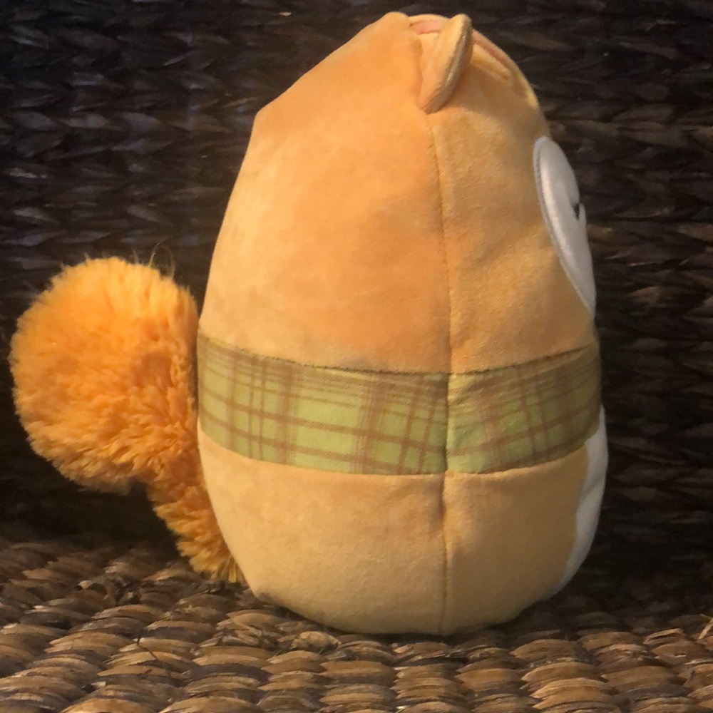 SALE ❤️ NWT Squishmallows Erin the Squirrel Fall collection Stuffed Plush - Picture 4 of 11
